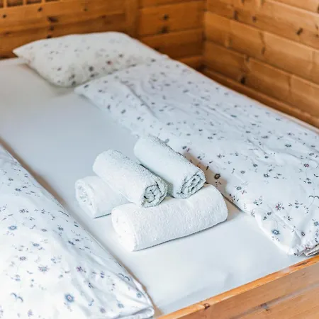 Dachstein - Mountain View Dom wakacyjny *