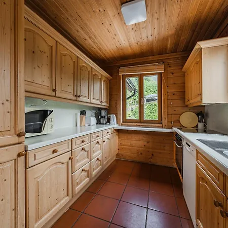 Dachstein - Mountain View *