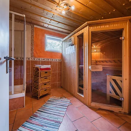 Dom wakacyjny Dachstein - Mountain View