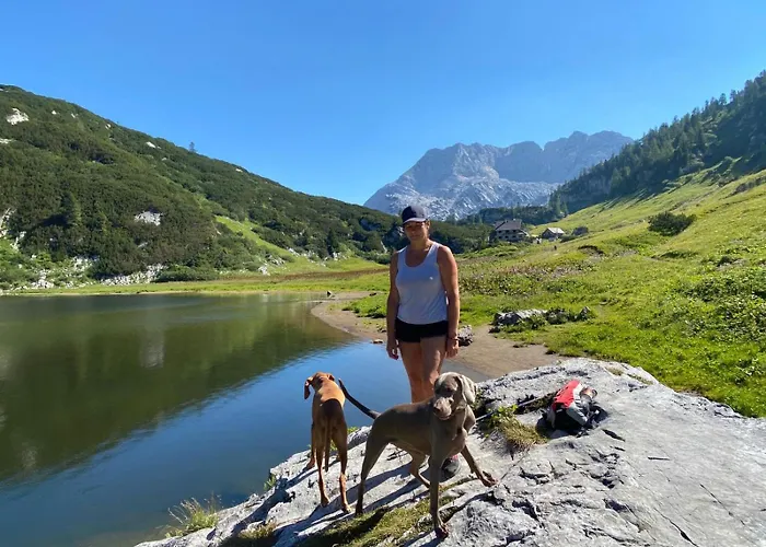 Dachstein - Mountain View بيت للعطل