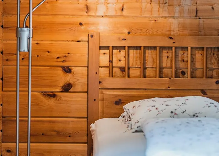 Holiday home Dachstein - Mountain View *