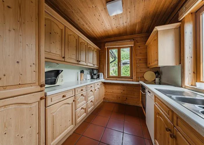 Dachstein - Mountain View *