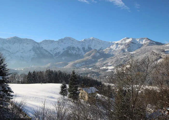 Dachstein - Mountain View Holiday home Bad Goisern