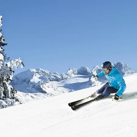 Semesterbostad Dachstein - Mountain View *