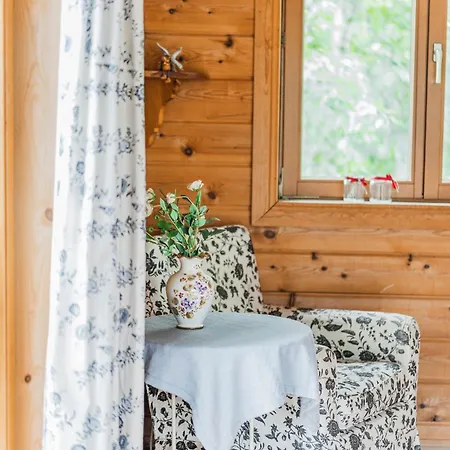 Dachstein - Mountain View