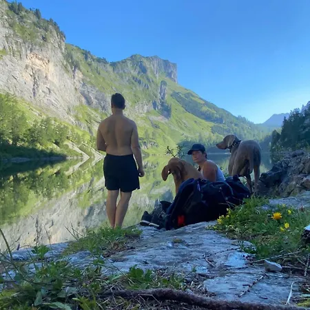 Semesterbostad Dachstein - Mountain View Bad Goisern